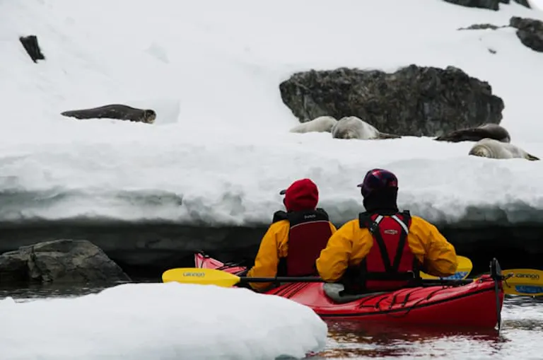 two guy and girl travelers on a canoe boat sighting sea lions lying in Antarctica snow
