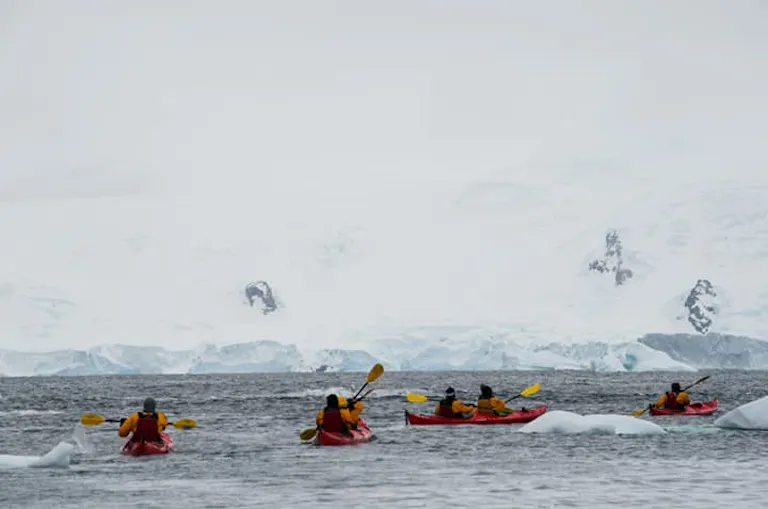 a group of kayakers making their way through a wildlife expedition in Antarctica