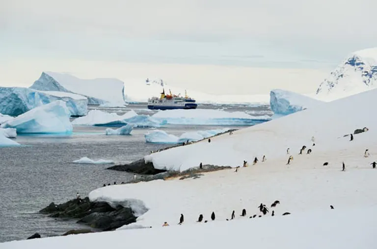 a polar expedition on a cruise ship floating past a herd of penguins in the Arctic