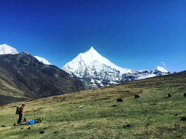 A man is grazing on a grassy field with mountains in the background.