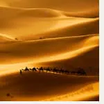 The sand dunes of morocco.