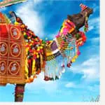 A camel with colorful decorations on top of it.