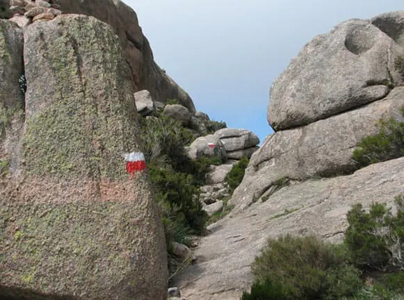 A group of rocks on a trail.