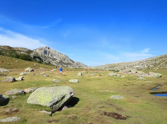 A man is walking through a grassy area with rocks and a pond.