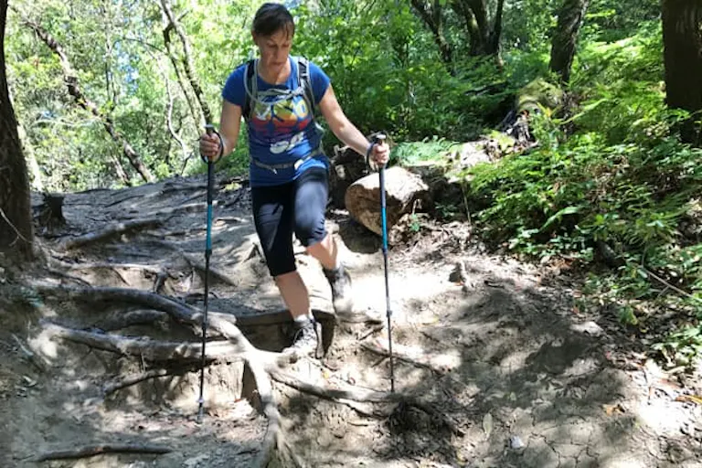 trekking poles specifically to aid downhill hiking