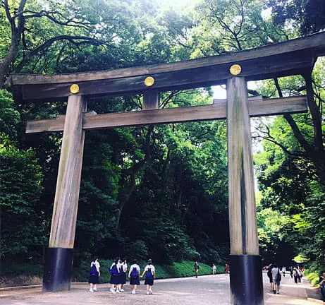A group of people walking through a tori gate.