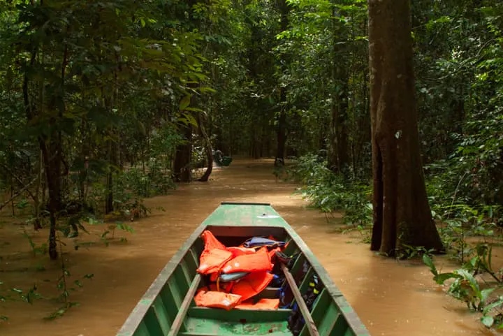 A boat is traveling down a muddy river in the jungle.
