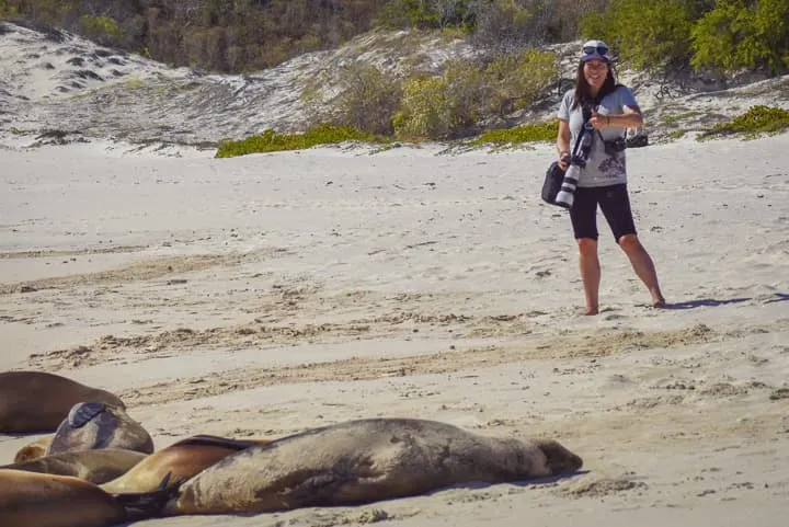 A woman standing next to a group of sea lions on the beach.