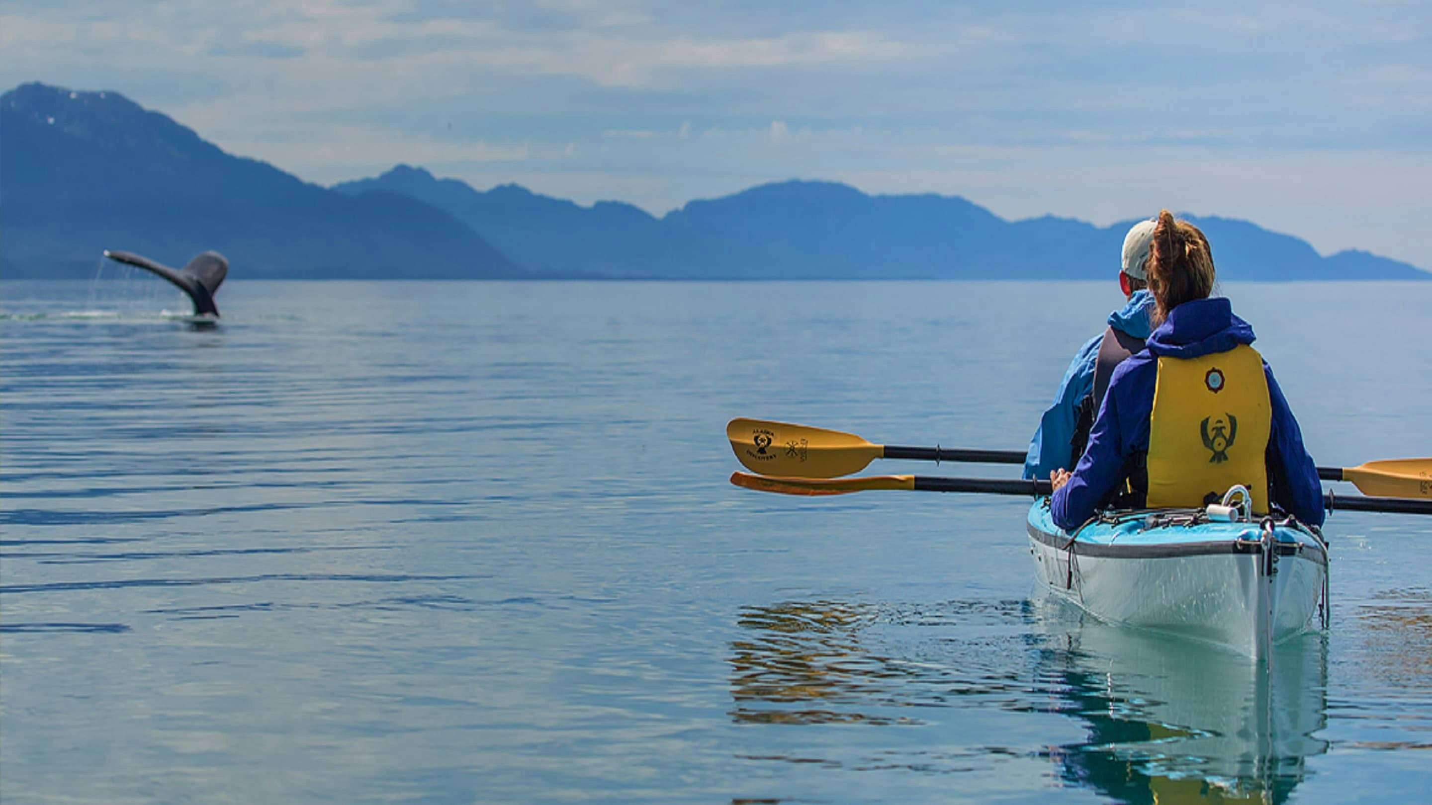 Two people paddling a kayak in the water with a humpback whale in the background.