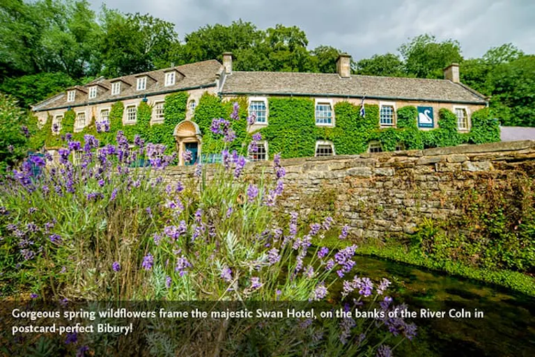 View fields of blooming colorful flowers framing the majestic Swan Hotel, which is where MT Sobek guests stay