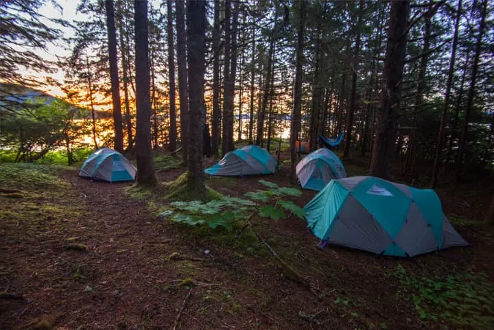A group of tents set up in the woods at sunset.