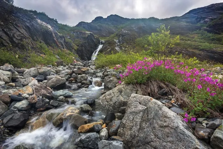 A waterfall surrounded by rocks and purple flowers.