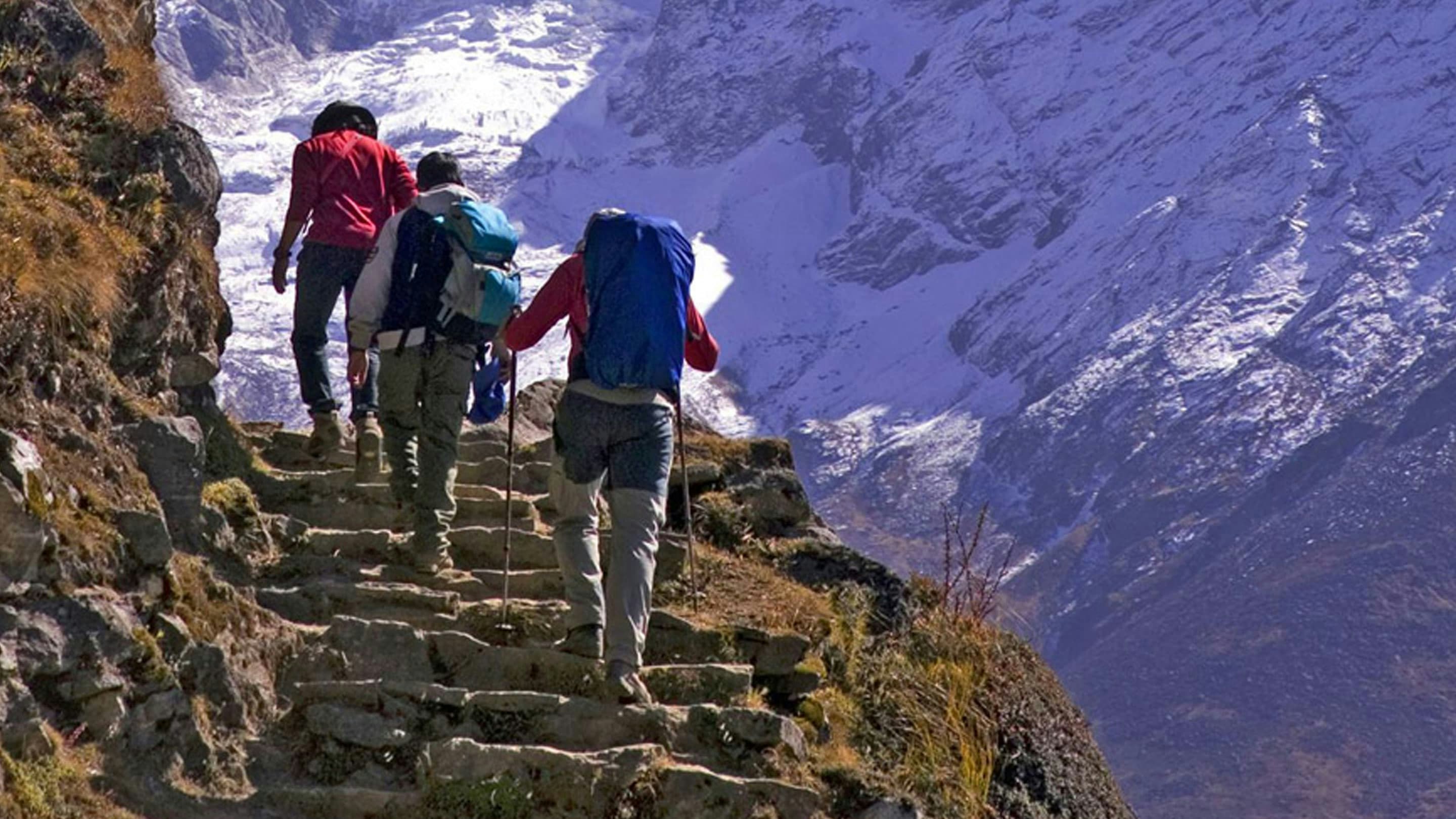 A group of people walking up a set of steps in a snowy mountain.
