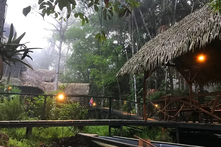 A hut in the jungle with a thatched roof.