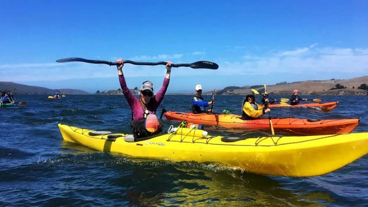 A group of people in kayaks on the water.