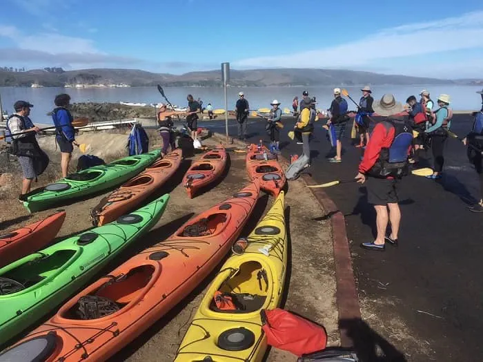 A group of people standing near a group of kayaks.