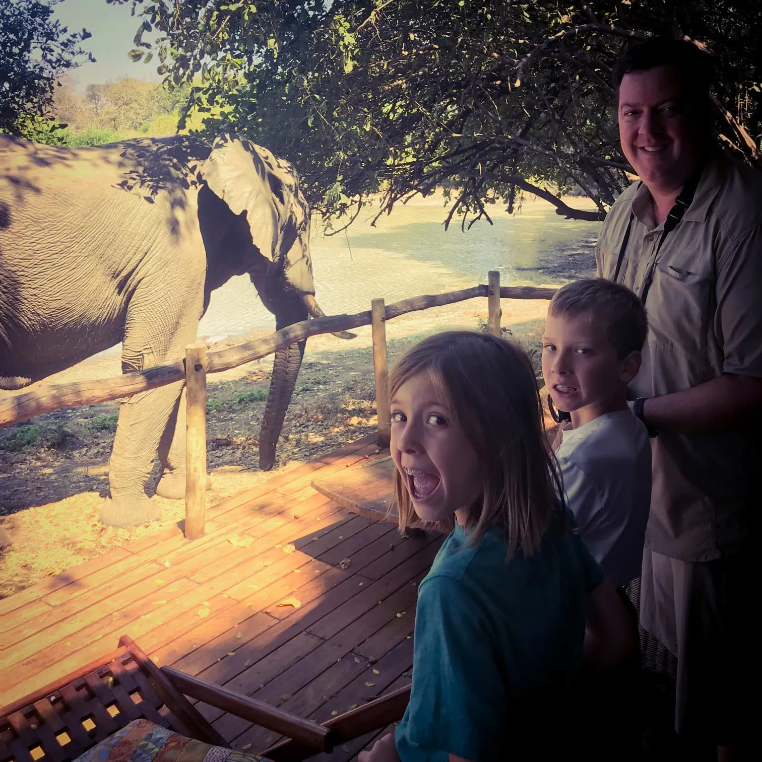 A group of people watching an elephant from a wooden deck.