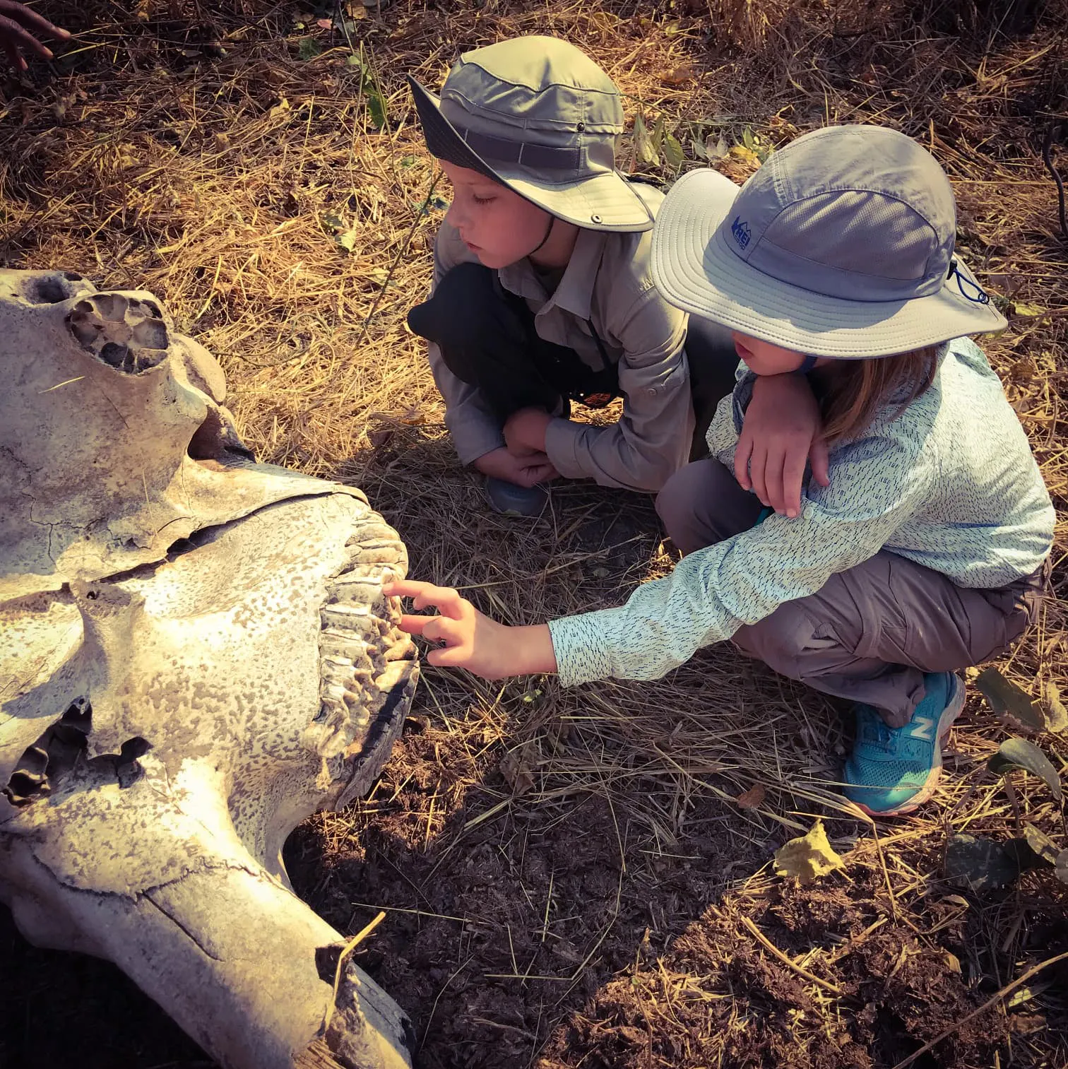 Two children are looking at a dead animal.