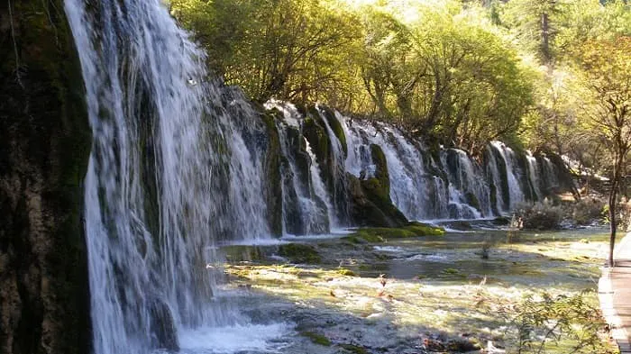 A waterfall in a wooded area with trees in the background.