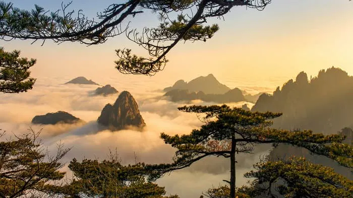 A mountain range with trees and clouds above it.
