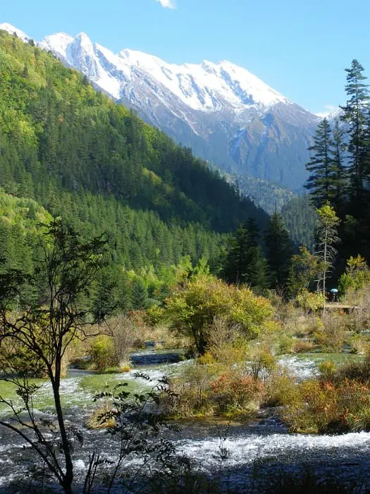 A river with trees and mountains in the background.