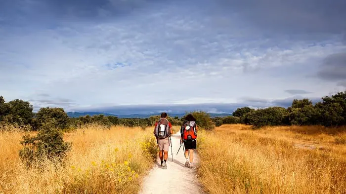 Two people walking down a path in a field.