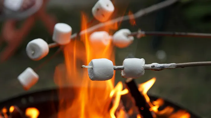 Marshmallows are being cooked over a campfire.