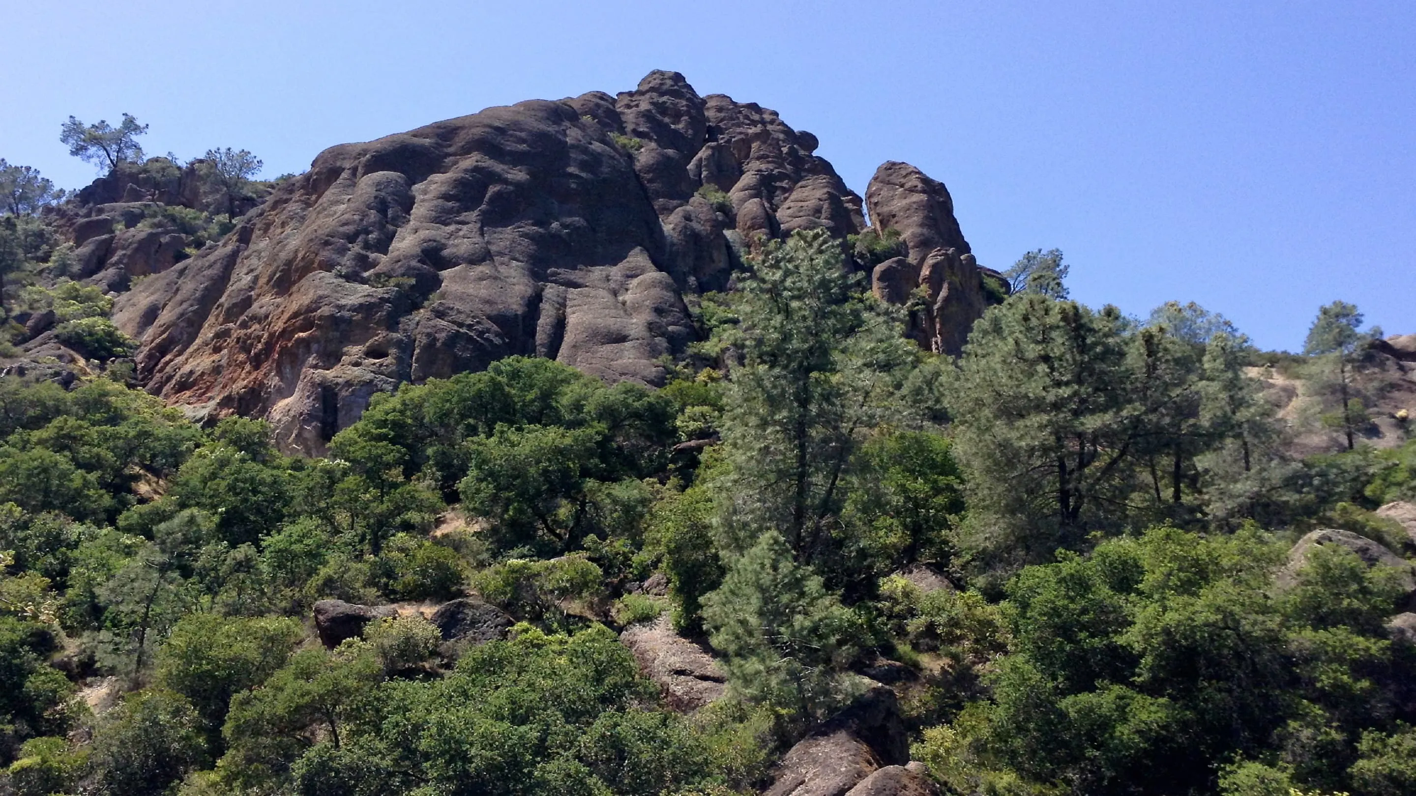 A rock formation in the middle of a forest.