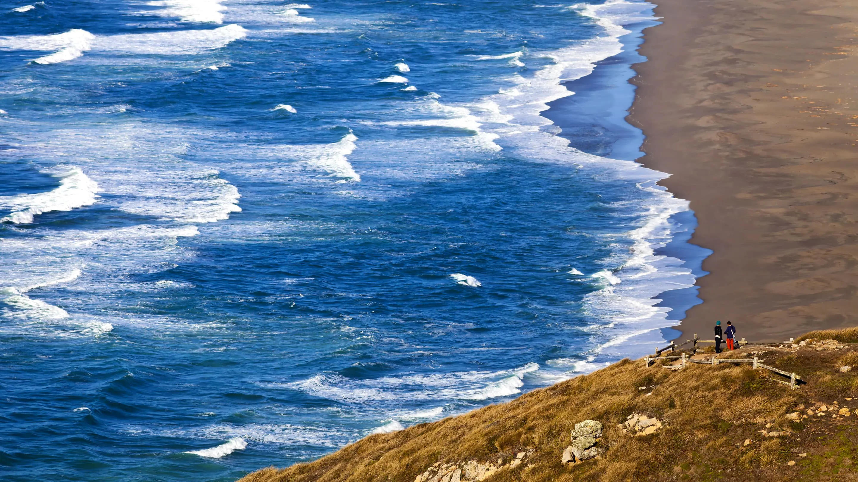A person standing on a hill overlooking the ocean.
