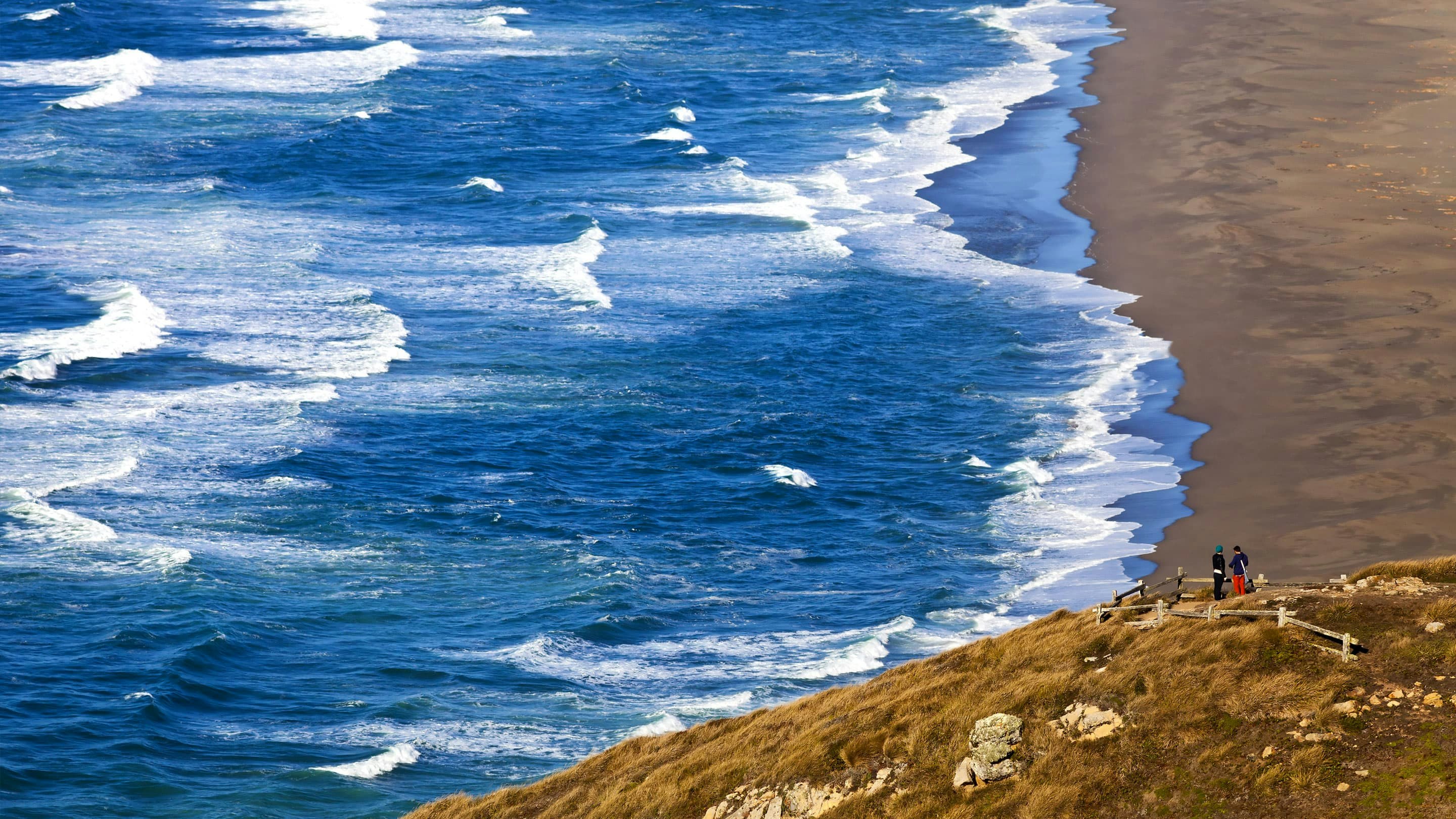 A person standing on a hill overlooking the ocean.