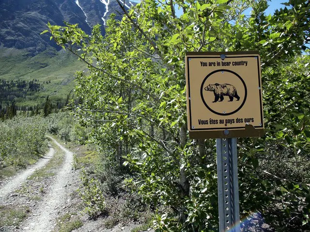 A sign on a trail with a bear on it.