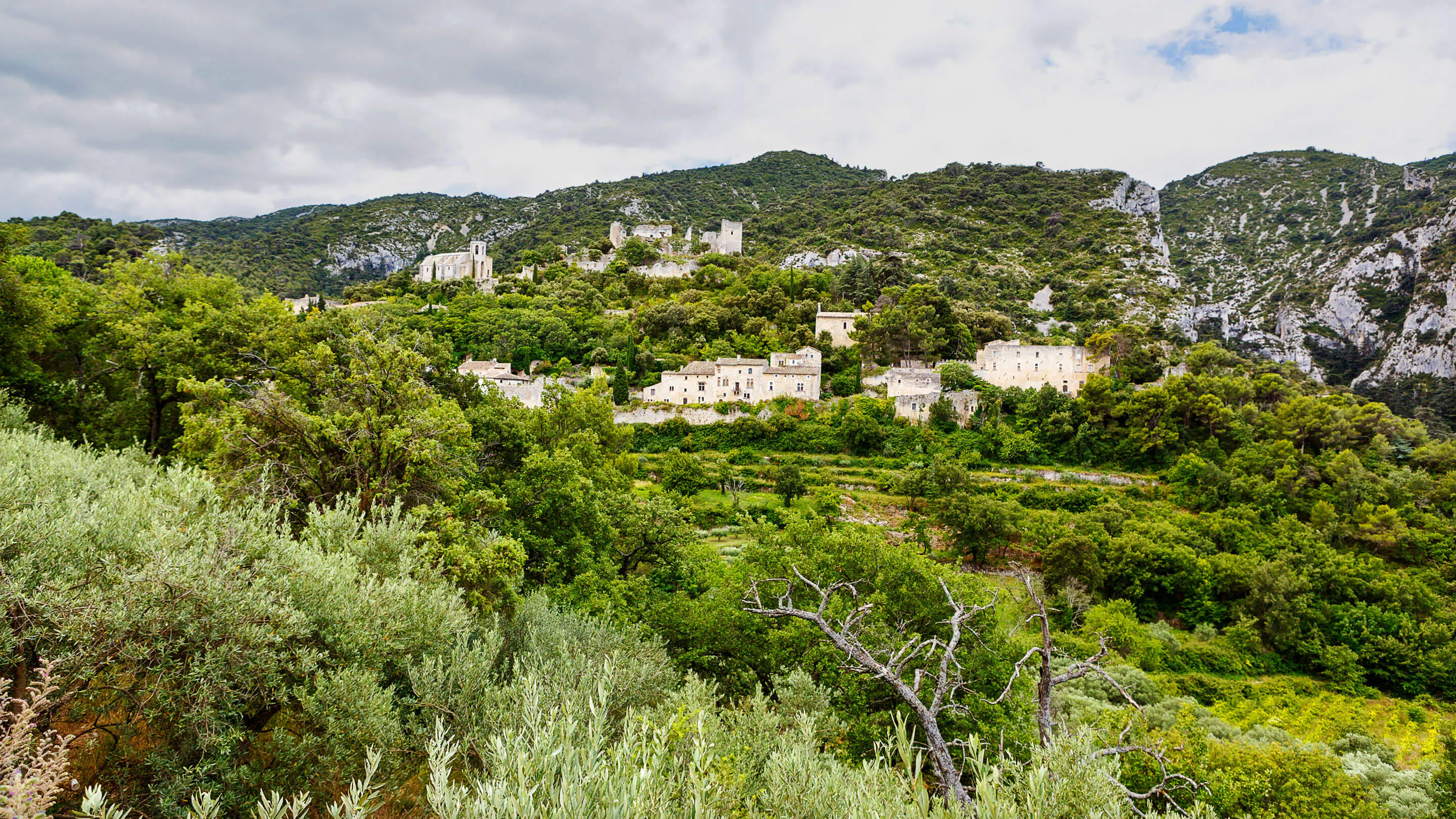 A village sits on top of a mountain surrounded by trees.