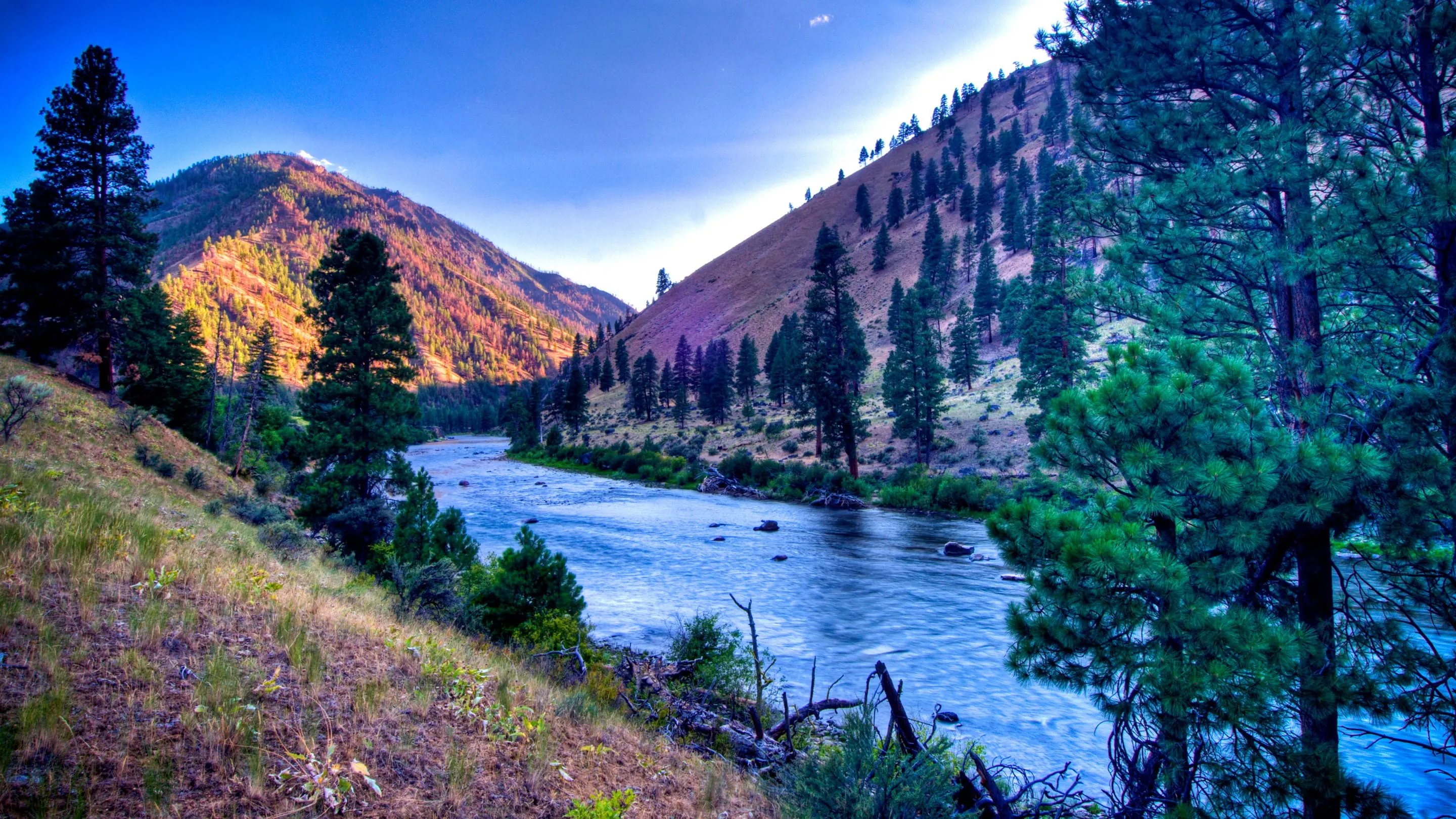 A river surrounded by mountains and trees.