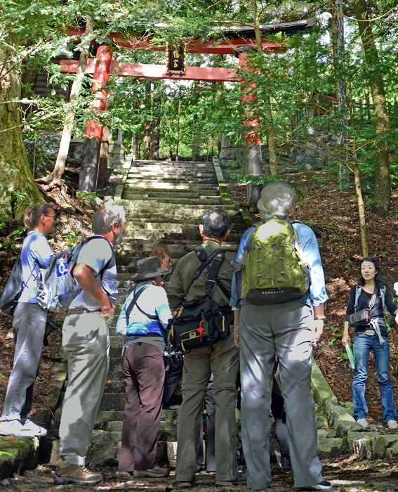 A group of people standing in a wooded area.