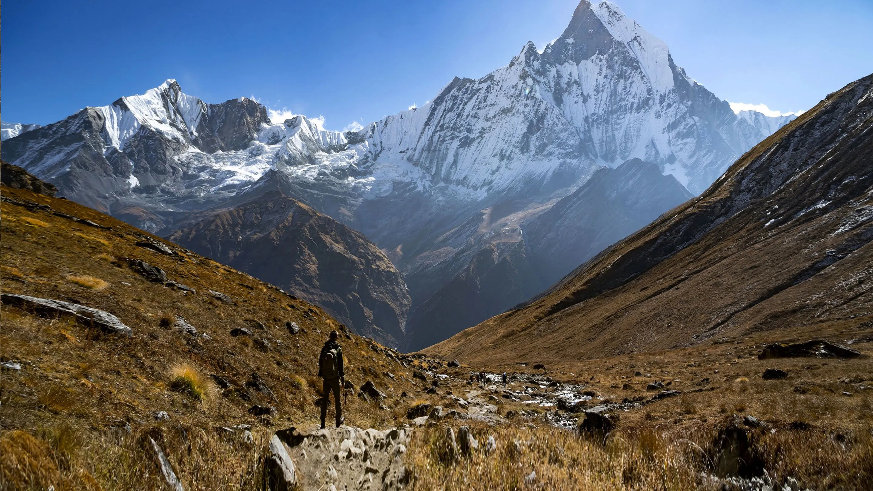 A man is walking through a grassy area with mountains in the background.