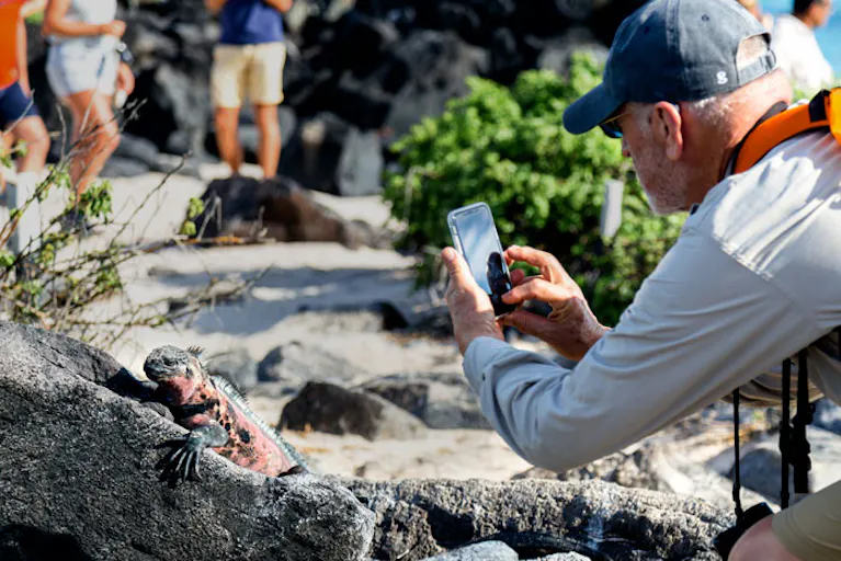 A man taking a picture of an iguana on rocks.