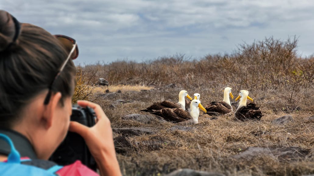 12 Reasons to Visit the Galapagos Islands