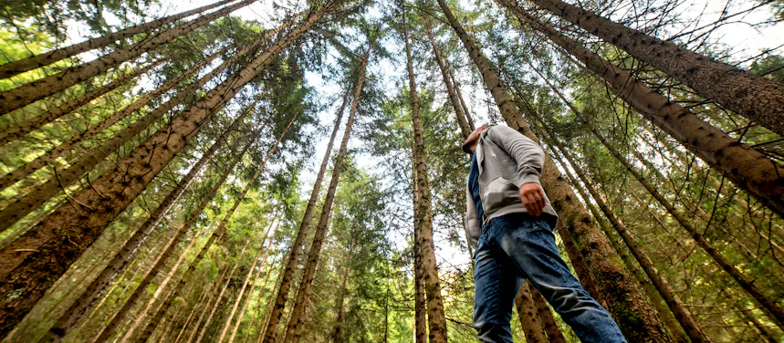 Purisima Creek Redwoods Hike with The Outbound Collective