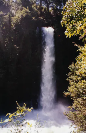 A waterfall in the middle of a forest.