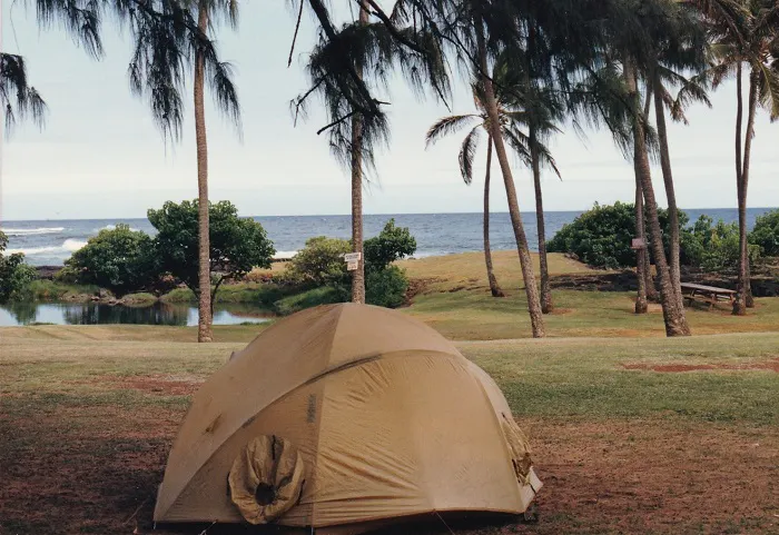 A tent set up in a grassy area near the ocean.