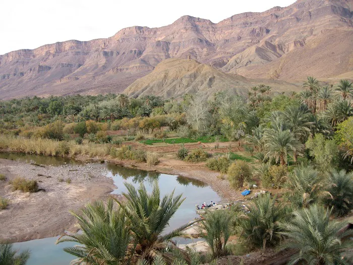 A river with palm trees and mountains in the background.