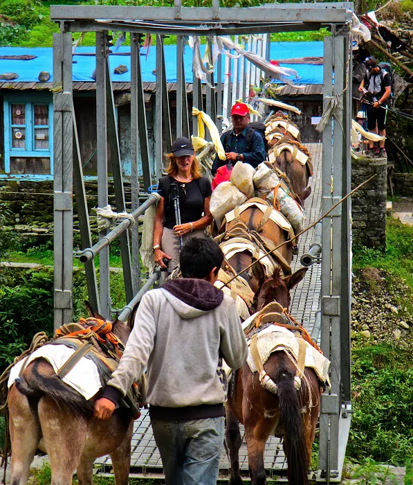 A group of people walking on a bridge with donkeys.