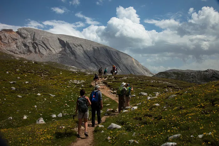 A group of people hiking on a trail in the mountains.