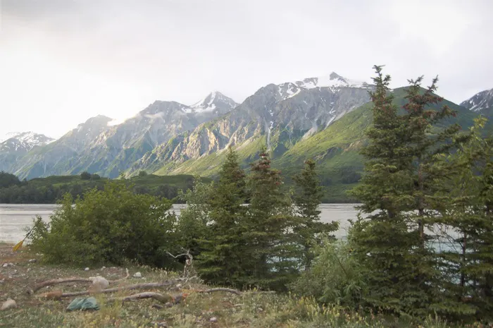 A lake with trees and mountains in the background.