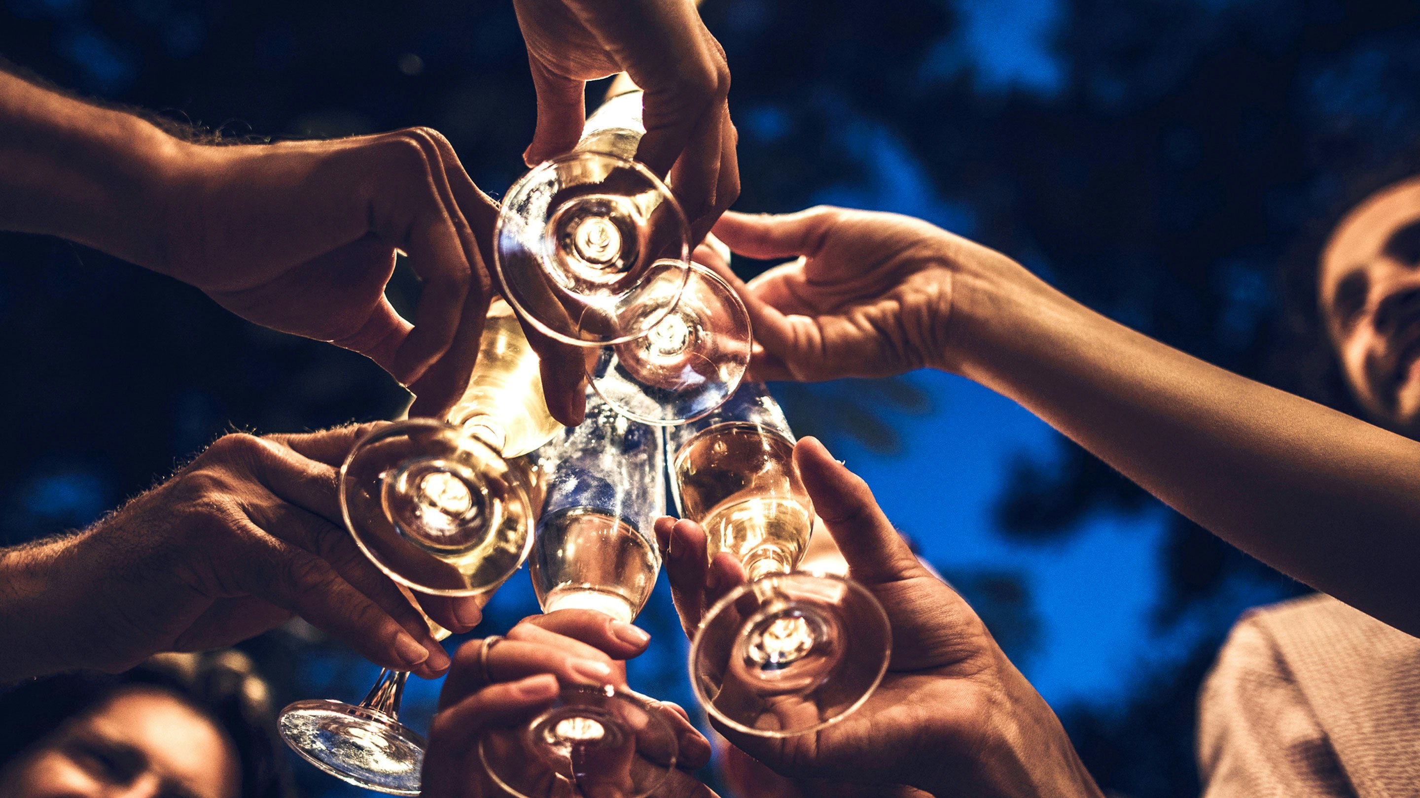 A group of people toasting champagne glasses.