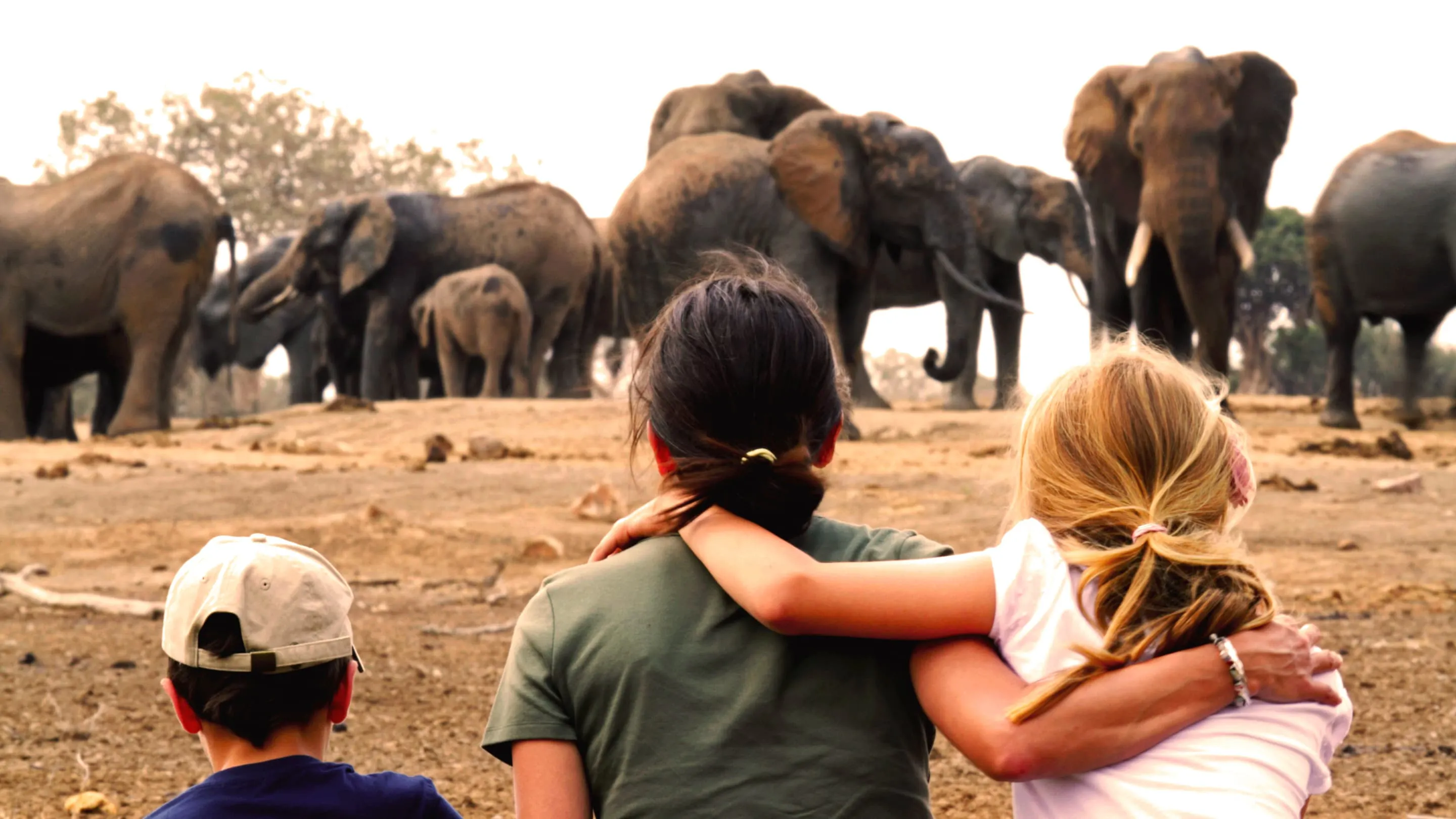 A group of children are standing in front of a group of elephants.