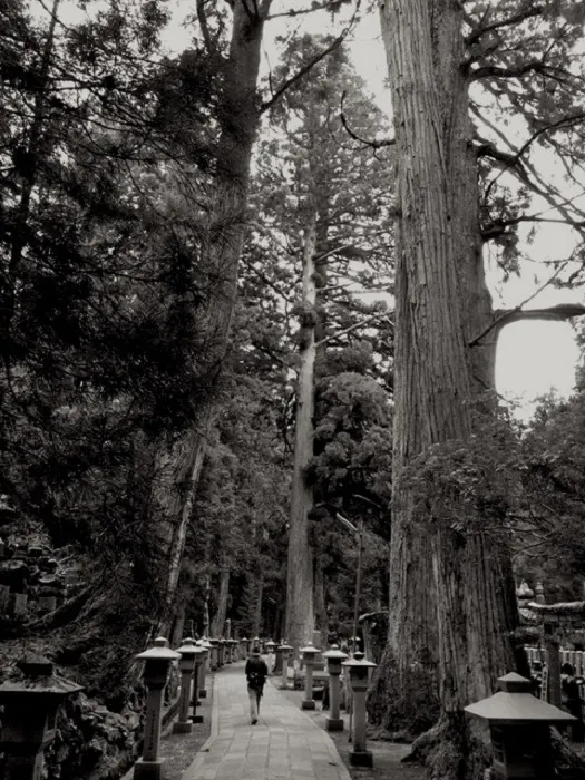 A black and white photo of a person walking down a path.