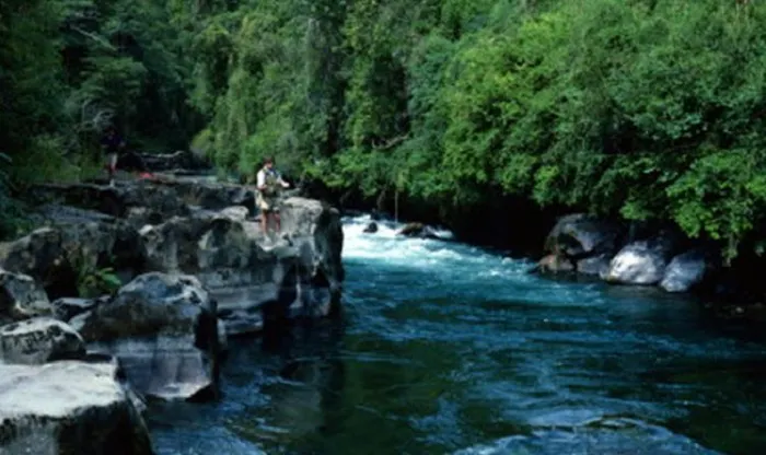 A man is standing on a rock next to a river.