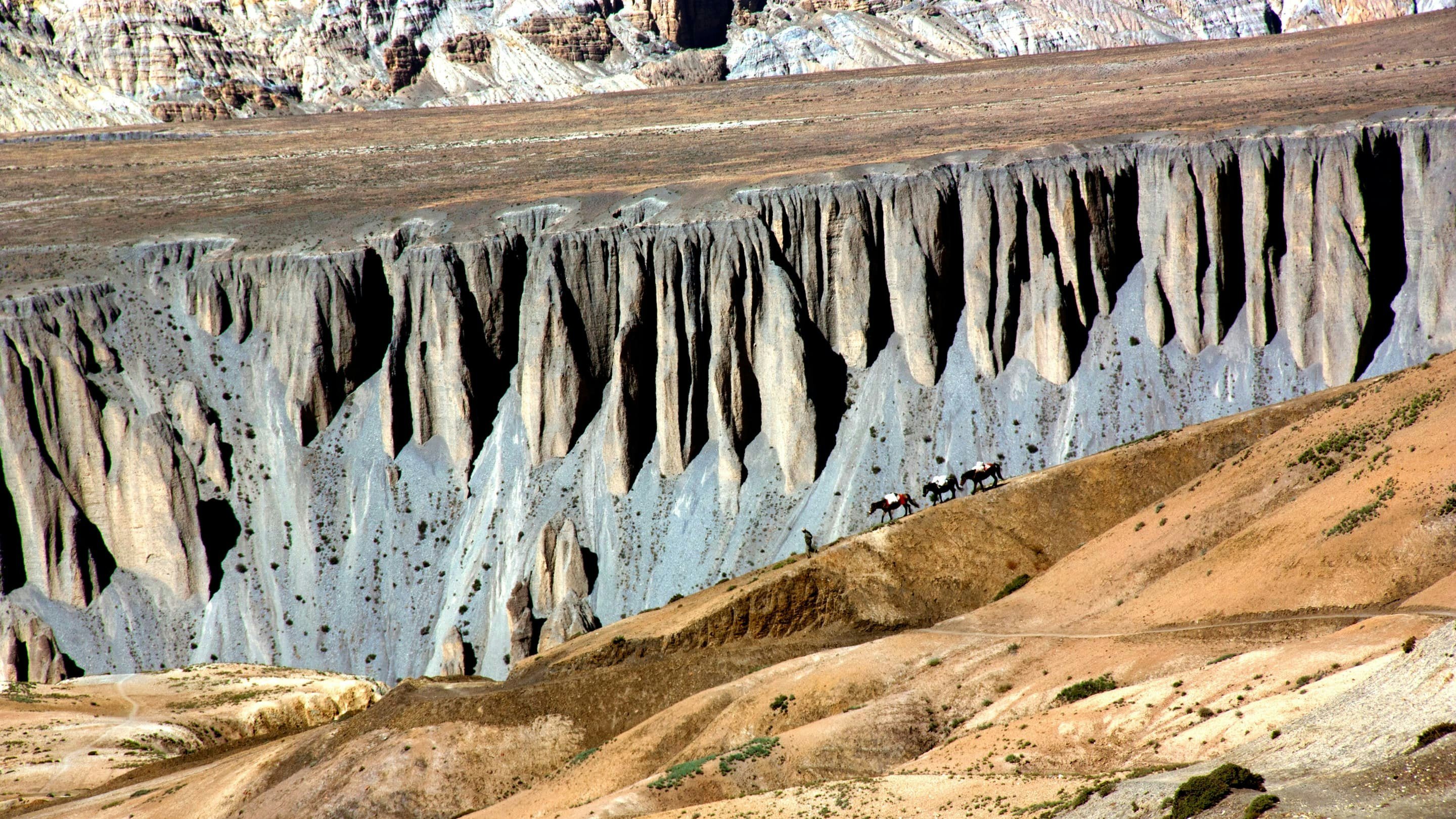 A group of people riding horses on the side of a cliff.