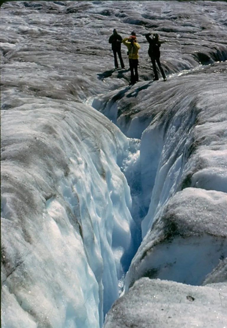 river rafting adventure in the Tatshenshini & Alsek | See wildlife and go on polar rafting trips with MT Sobek